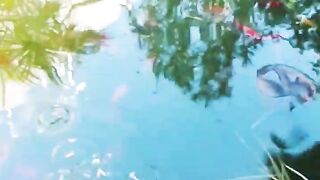 Кормление гурзуфских рыбок и секретное желание снова выйти на рыбалку