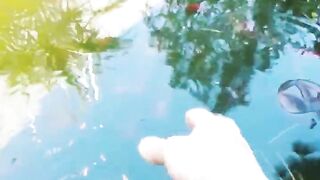 Кормление гурзуфских рыбок и секретное желание снова выйти на рыбалку