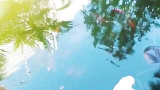 Кормление гурзуфских рыбок и секретное желание снова выйти на рыбалку