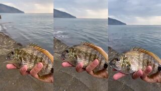 Гурзуф 05.07.2024 неспешная рыбалка на Черном море у причала и каменных волнорезов