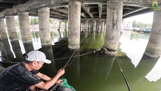 Phan Thiet мост в центре города делаем точку под рыбалку по cá rìa и cá nâu клев без перерыва