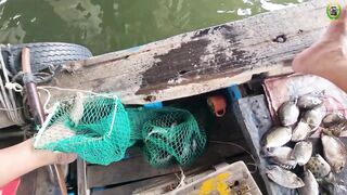 Phan Thiet мост в центре города делаем точку под рыбалку по cá rìa и cá nâu клев без перерыва