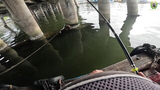 Phan Thiet мост в центре города делаем точку под рыбалку по cá rìa и cá nâu клев без перерыва