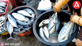 Традиционный рыбный рынок Jimbaran Bay прогулка среди улова ночной морской рыбалки