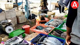 Традиционный рыбный рынок Jimbaran Bay прогулка среди улова ночной морской рыбалки