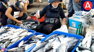 Традиционный рыбный рынок Jimbaran Bay прогулка среди улова ночной морской рыбалки