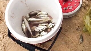 Ловля песчаного бычка biển Phan Thiet прибрежная донная рыбалка у волнореза