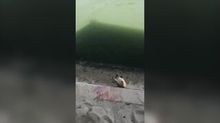 Вьетнам рыбалка на море лодка сети и простая жизнь людей у воды