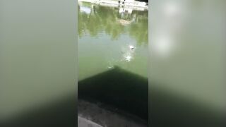 Вьетнам рыбалка на море лодка сети и простая жизнь людей у воды