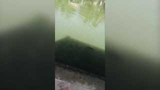 Вьетнам рыбалка на море лодка сети и простая жизнь людей у воды