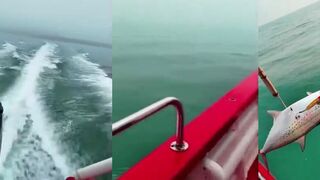 Выход в море у берегов Хайнаня морская рыбалка и крупная рыба на китайском катере