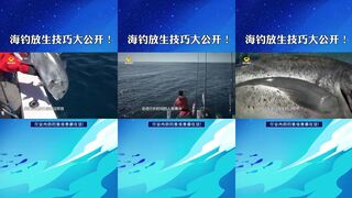 Секреты правильного отпускания рыбы в море техника мягкого релиза после вываживания