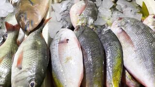 Традиционный рыбный и морепродуктовый рынок в Jimbaran Bali утренний улов и торг