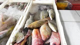 Традиционный рыбный и морепродуктовый рынок в Jimbaran Bali утренний улов и торг