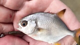 Спиннинг в Китае остров Хайнань береговая рыбалка по морскому хищнику у камней