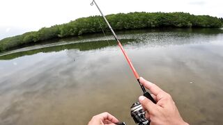 Спиннинг в Китае остров Хайнань береговая рыбалка по морскому хищнику у камней