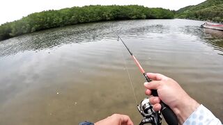 Спиннинг в Китае остров Хайнань береговая рыбалка по морскому хищнику у камней