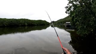 Спиннинг в Китае остров Хайнань береговая рыбалка по морскому хищнику у камней