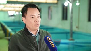 Хайнань станет центром рыбной ловли курорты рынки и морская рыбалка для туристов