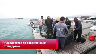 Хайнань станет центром рыбной ловли курорты рынки и морская рыбалка для туристов
