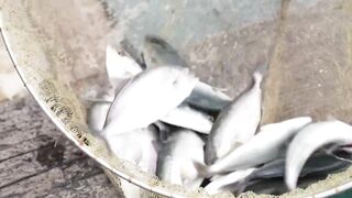 Хайнань станет центром рыбной ловли курорты рынки и морская рыбалка для туристов