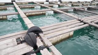 Хайнань станет центром рыбной ловли курорты рынки и морская рыбалка для туристов