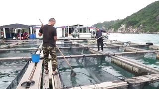 Хайнань станет центром рыбной ловли курорты рынки и морская рыбалка для туристов