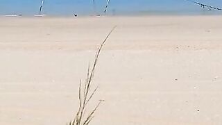 Такие сети видели морская рыбалка на Хайнане огромные стенки из лески прямо вдоль пляжа