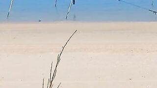 Такие сети видели морская рыбалка на Хайнане огромные стенки из лески прямо вдоль пляжа