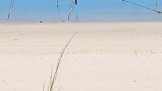 Такие сети видели морская рыбалка на Хайнане огромные стенки из лески прямо вдоль пляжа