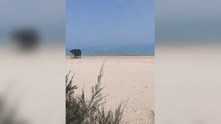 Такие сети видели морская рыбалка на Хайнане огромные стенки из лески прямо вдоль пляжа