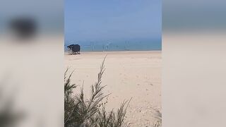 Такие сети видели морская рыбалка на Хайнане огромные стенки из лески прямо вдоль пляжа