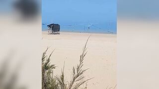 Такие сети видели морская рыбалка на Хайнане огромные стенки из лески прямо вдоль пляжа