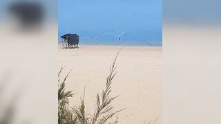 Такие сети видели морская рыбалка на Хайнане огромные стенки из лески прямо вдоль пляжа