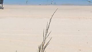 Такие сети видели морская рыбалка на Хайнане огромные стенки из лески прямо вдоль пляжа