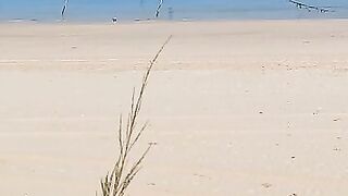 Такие сети видели морская рыбалка на Хайнане огромные стенки из лески прямо вдоль пляжа