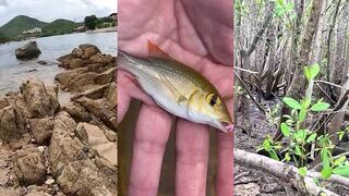 Спиннинг в Китае новый выезд на Хайнань и рыбалка в Южно Китайском море