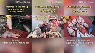 Рыбаки Shandong готовятся к новому сезону поднимают сети чинят лодки и мечтают о большом улове