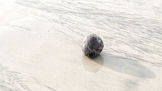 Бали Джимбаран стоит ли ехать сюда, если хочется не только кафе но и рыбалки с местными