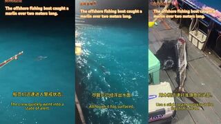 Морская рыбалка в Китае - с катера взяли марлина больше двух метров