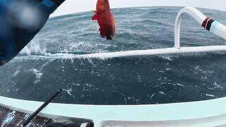 Морская рыбалка у берегов Бали - шторм, джиг с 250 метров и охота за трофейной рыбой