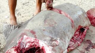 Инспектирую рыбный рынок в Jimbaran Bali свежий улов с ночной морской рыбалки в заливе