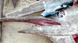 Инспектирую рыбный рынок в Jimbaran Bali свежий улов с ночной морской рыбалки в заливе