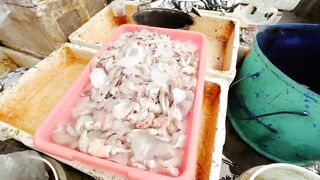 Инспектирую рыбный рынок в Jimbaran Bali свежий улов с ночной морской рыбалки в заливе