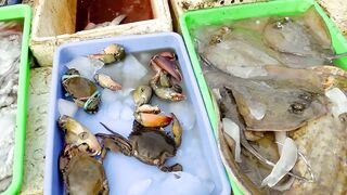 Инспектирую рыбный рынок в Jimbaran Bali свежий улов с ночной морской рыбалки в заливе