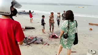 Инспектирую рыбный рынок в Jimbaran Bali свежий улов с ночной морской рыбалки в заливе