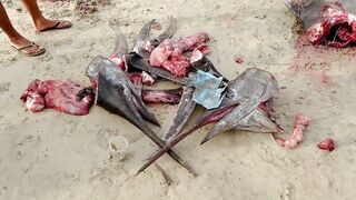 Инспектирую рыбный рынок в Jimbaran Bali свежий улов с ночной морской рыбалки в заливе