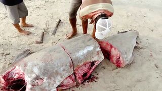 Инспектирую рыбный рынок в Jimbaran Bali свежий улов с ночной морской рыбалки в заливе