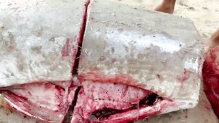 Инспектирую рыбный рынок в Jimbaran Bali свежий улов с ночной морской рыбалки в заливе