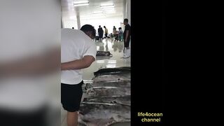Tuna и swordfish рыбалка в порту Benoa Bali туна и меч рыба в одном выходе